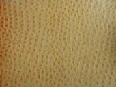 synthetic leather image